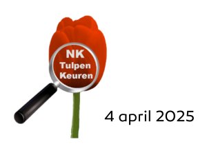 NK Tulpenkeuren